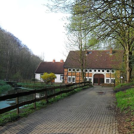 Höllenmühle Bed&Breakfast at the Mill Pond Hessisch Oldendorf Exterior foto