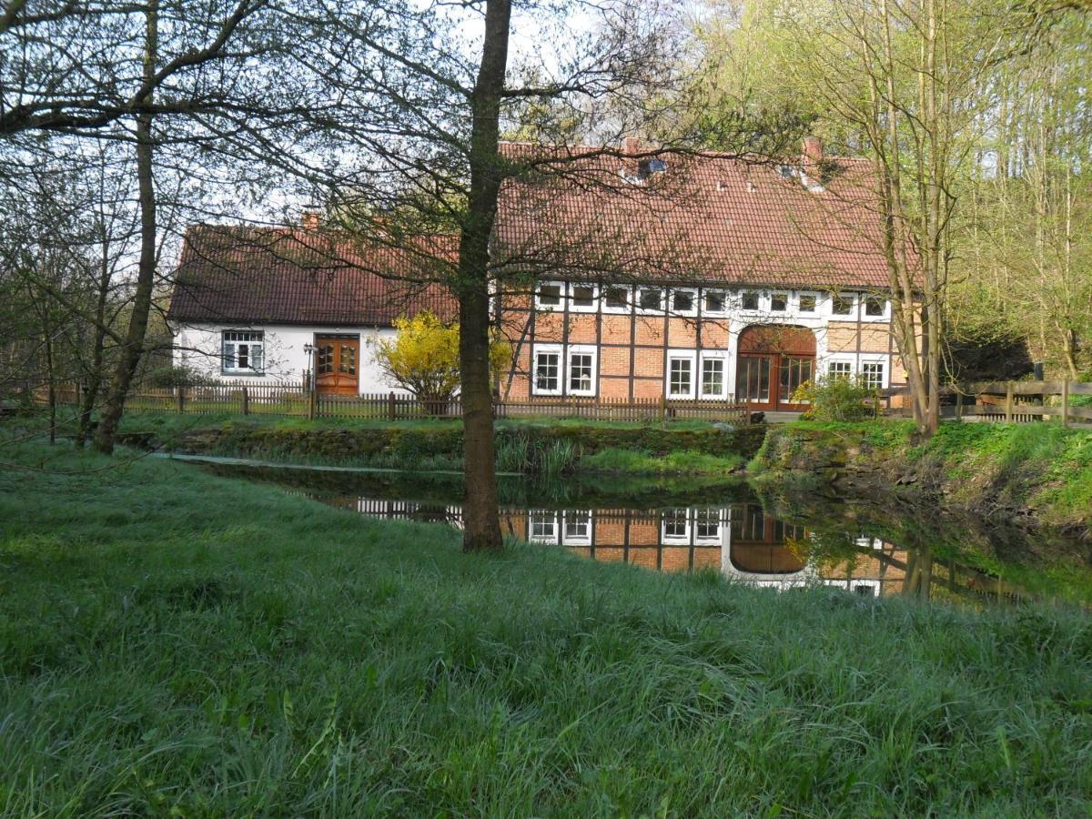 Höllenmühle Bed&Breakfast at the Mill Pond Hessisch Oldendorf Exterior foto