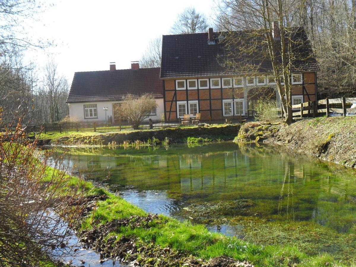 Höllenmühle Bed&Breakfast at the Mill Pond Hessisch Oldendorf Exterior foto